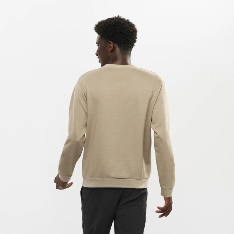 Beige Salomon Outlife Logo Summer Men's Sweatshirt | PH 02687P